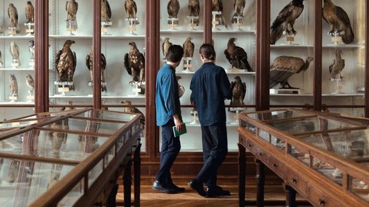 Langue des oiseaux
