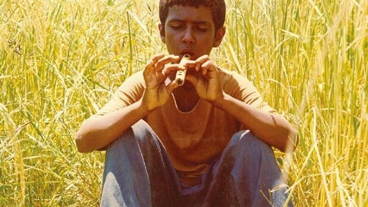 باشو غریبهٔ کوچک