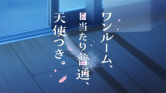 ワンルーム、日当たり普通、天使つき。