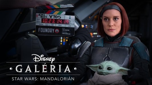 Disney Gallery / Star Wars: The Mandalorian