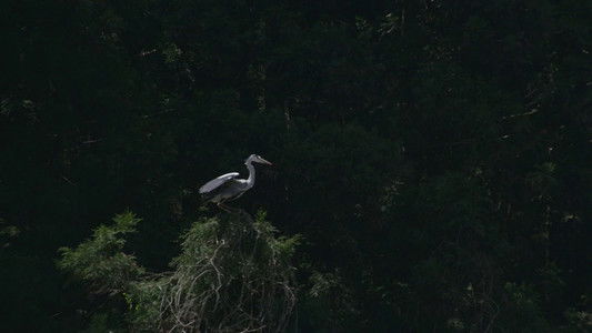 リトル・フォレスト 冬・春