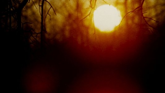 The Legend of Boggy Creek