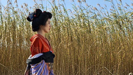 （秘）女郎責め地獄
