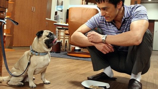 結婚できない男