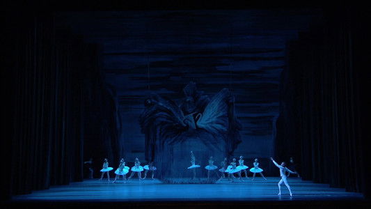 Tchaikovsky - Swan Lake (The Bolshoi Ballet Collection)