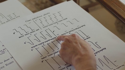 Langue des oiseaux