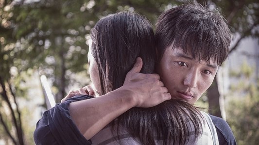 하루