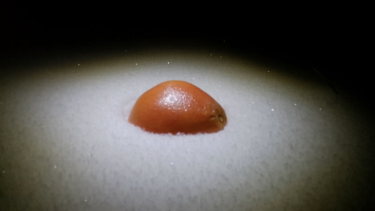 My Friend, the Grapefruit