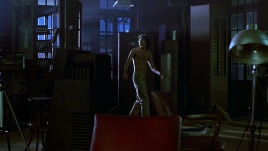 The Fly