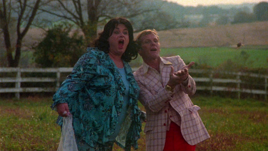 Polyester