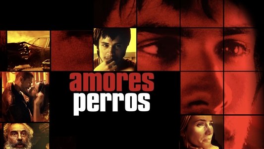 Amores perros