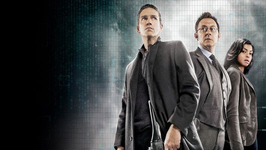 Person of Interest