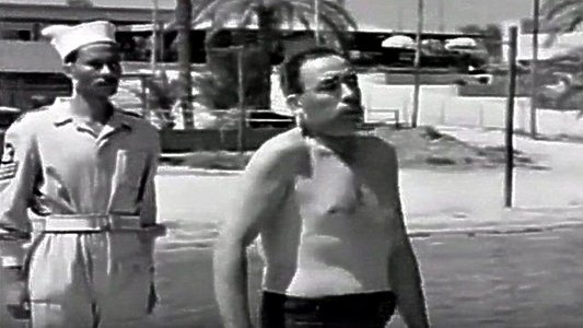 إسماعيل ياسين في الأسطول