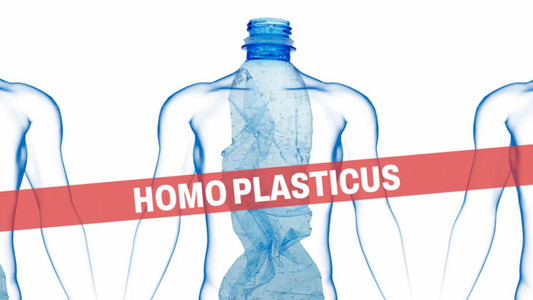 Homo Plasticus, l'invasion silencieuse des microplastiques