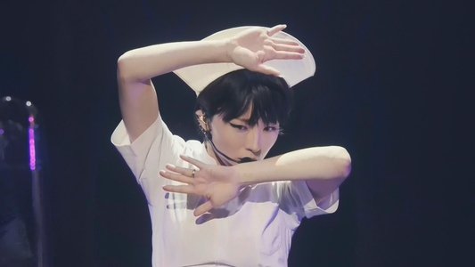 椎名林檎と彼奴等がゆく 百鬼夜行2015
