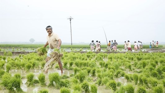 கடைக்குட்டி சிங்கம்