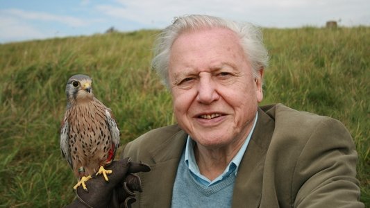 Attenborough: 60 Years in the Wild