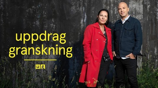 Uppdrag granskning