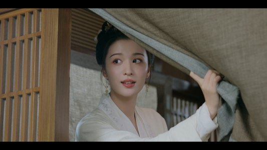 柳舟记