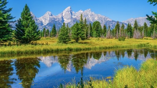 Great Yellowstone Thaw