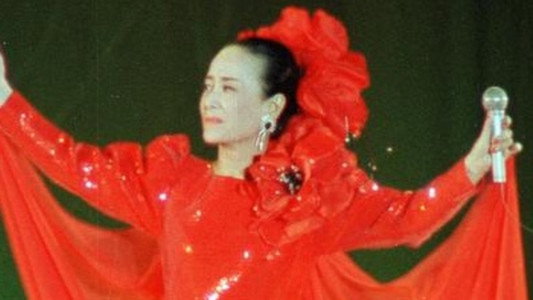 美空ひばりコンサート「不死鳥 美空ひばり in TOKYO DOME」