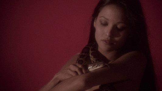 Porno Esotic Love