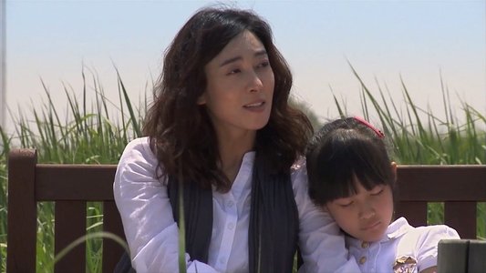 공정사회
