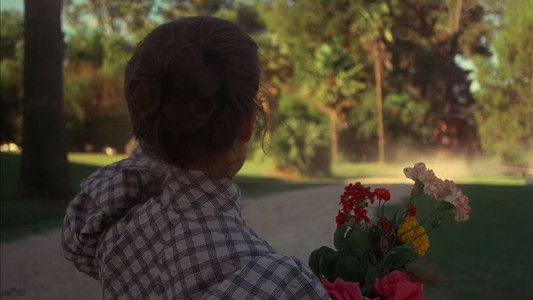 Picnic at Hanging Rock