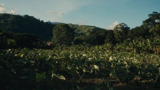 ¿Estás Despierta?