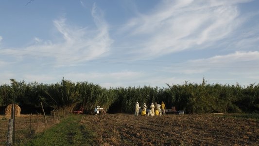 Le meraviglie