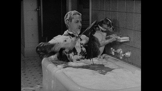 Wonder Dogs! Canine Stars of the Silent Era (1898-1928)