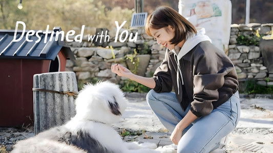 이 연애는 불가항력