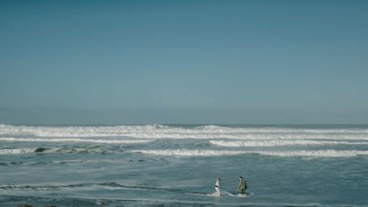Everything Beautiful Is Far Away