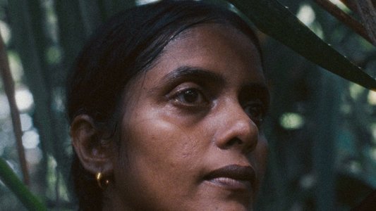 പ്രഭയായ് നിനച്ചതെല്ലാം