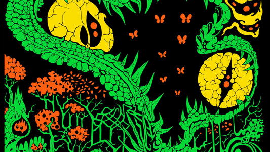 King Gizzard & The Lizard Wizard - Live in Lisbon '25