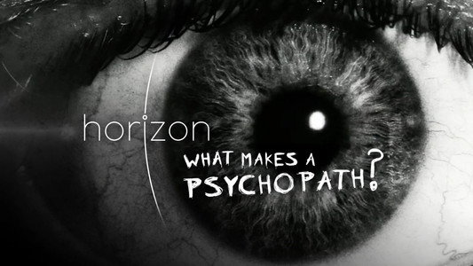 What Makes a Psychopath?