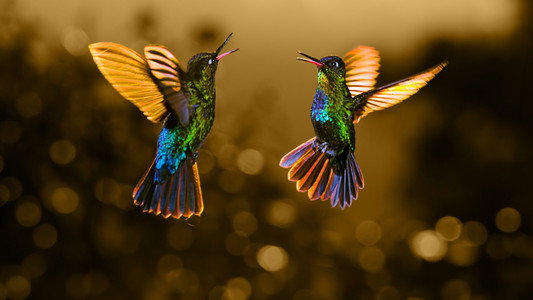 Airborne