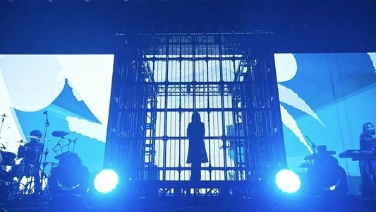 Ado: THE FIRST WORLD TOUR「Wish」