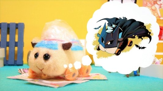 PUI PUI モルカー