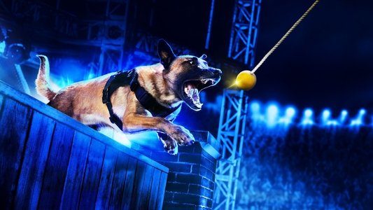 America's Top Dog