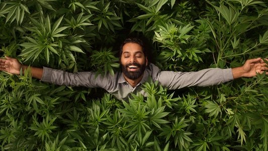 Weediquette