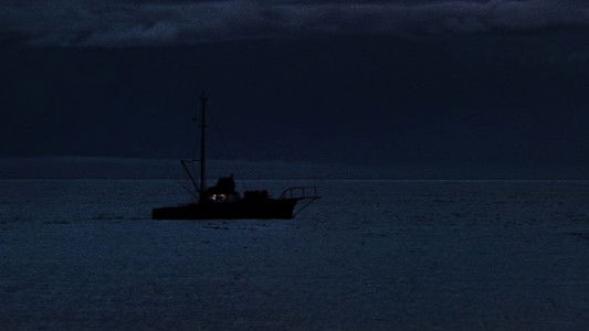 Jaws