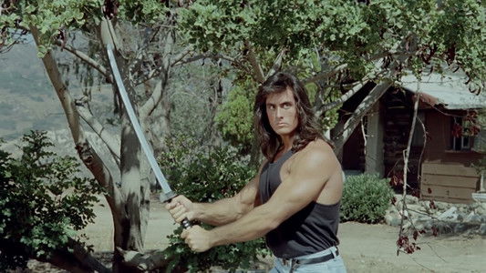 Samurai Cop