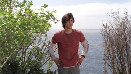 Young MacGyver