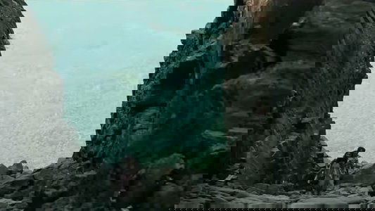 चित्रफित 3.0 Megapixel