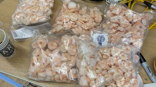 The Shrimp-Off