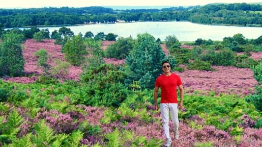 Frensham Great Pond