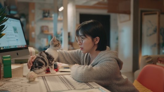 宠爱