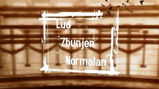 Lud, zbunjen, normalan