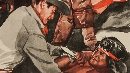 Lawless Plainsmen